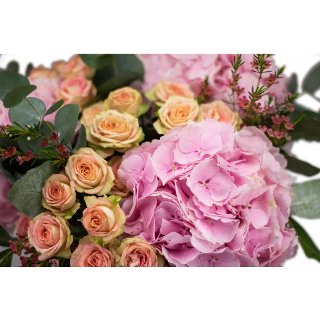 A bouquet of hydrangeas